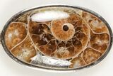 Fossil Ammonite Pendant - Million Years Old #205782-1